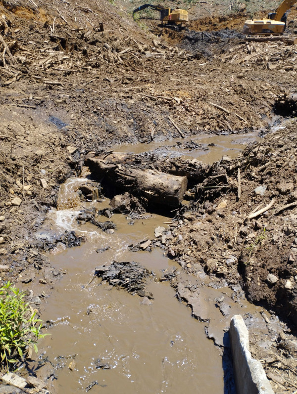 Tributary of the Ngutunui Stream impacted by harvesting – Kāwhia Road.