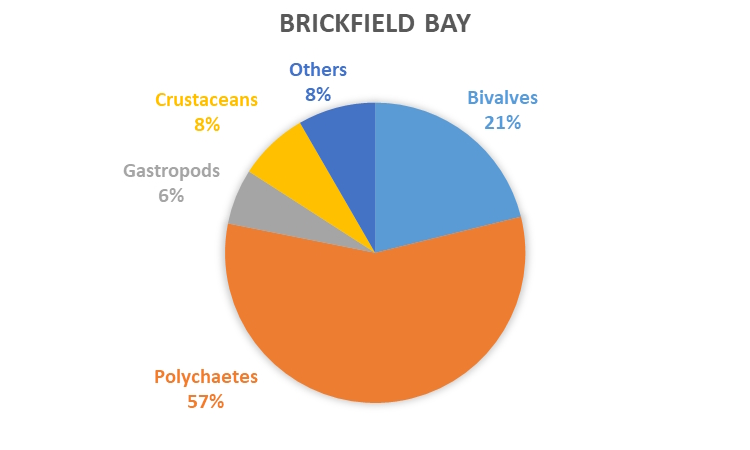 REMP monitoring results - data graph - Brickfield Bay