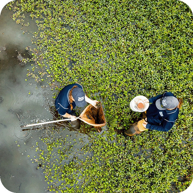 Photo of summer students