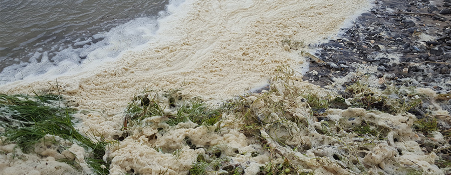 Image of foam on the coast