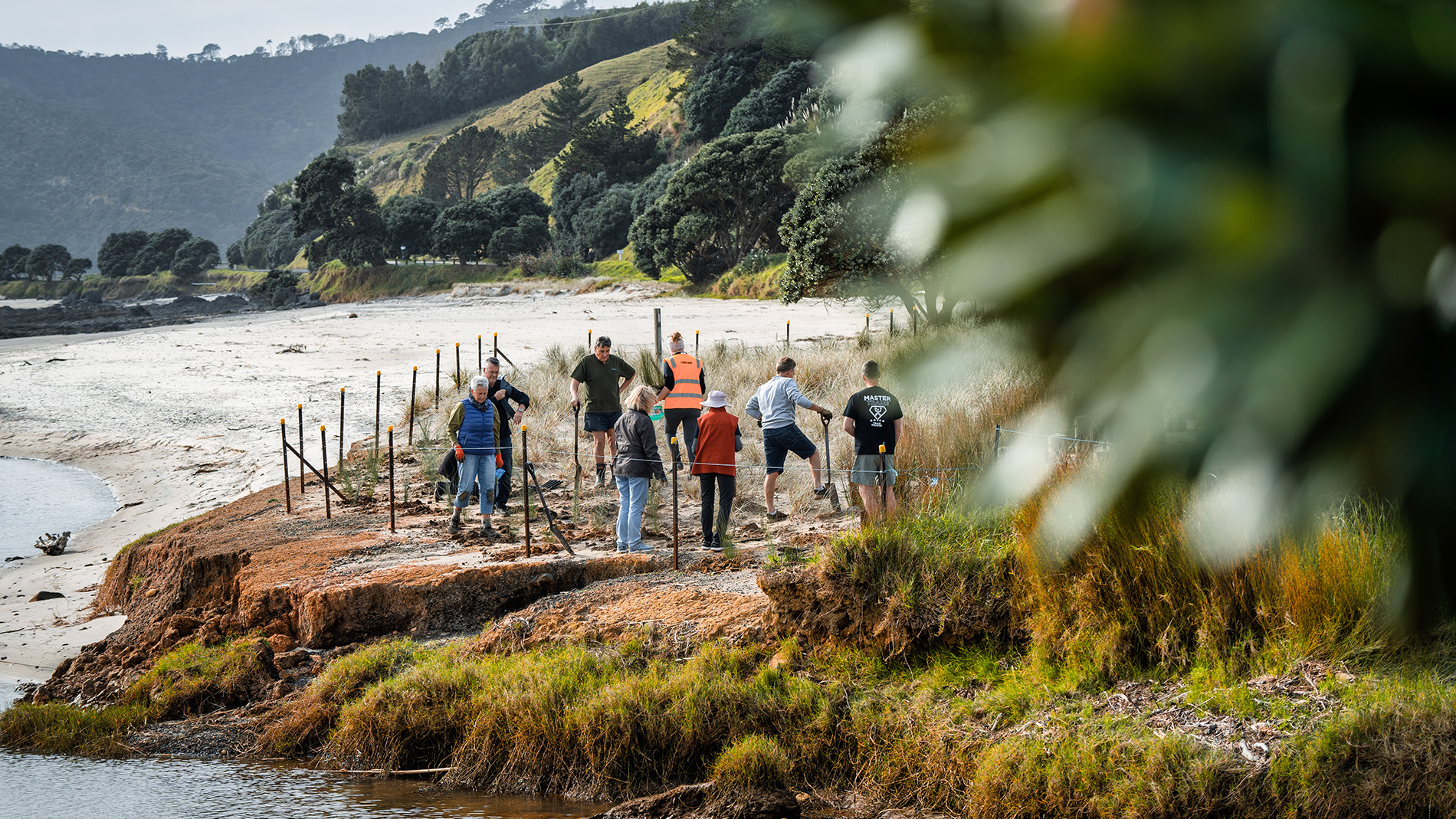 Image of Coastcare planting at Grays Beach