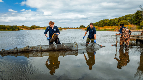  Image - Working at Waikato Regional Council
