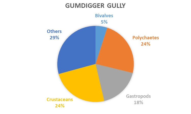 REMP monitoring results - data graph - Gumdigger Gully