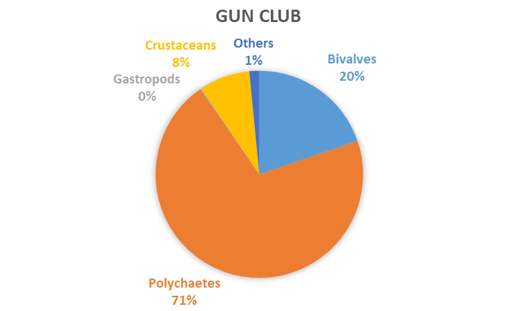 REMP monitoring results - data graph - Gun Club macrofauna