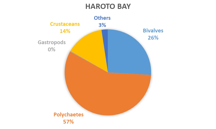 REMP monitoring results - data graph - Haroto Bay