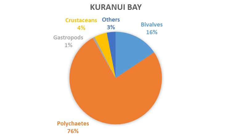 REMP monitoring results - data graph - Kuranui Bay macrofauna