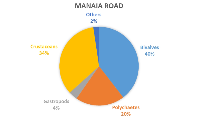 REMP monitoring results - data graph - Manaia Road
