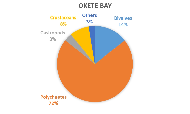 REMP monitoring results - data graph - Okete Bay 