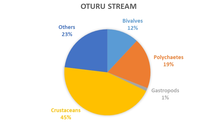 REMP monitoring results - data graph - Oturu Stream