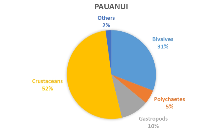 REMP monitoring results - data graph - Pauanui - 750 x 450