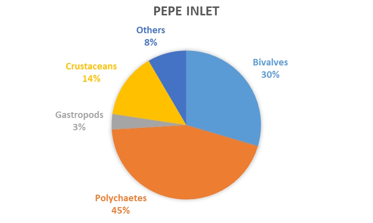 REMP monitoring results - data graph - Pepe Inlet