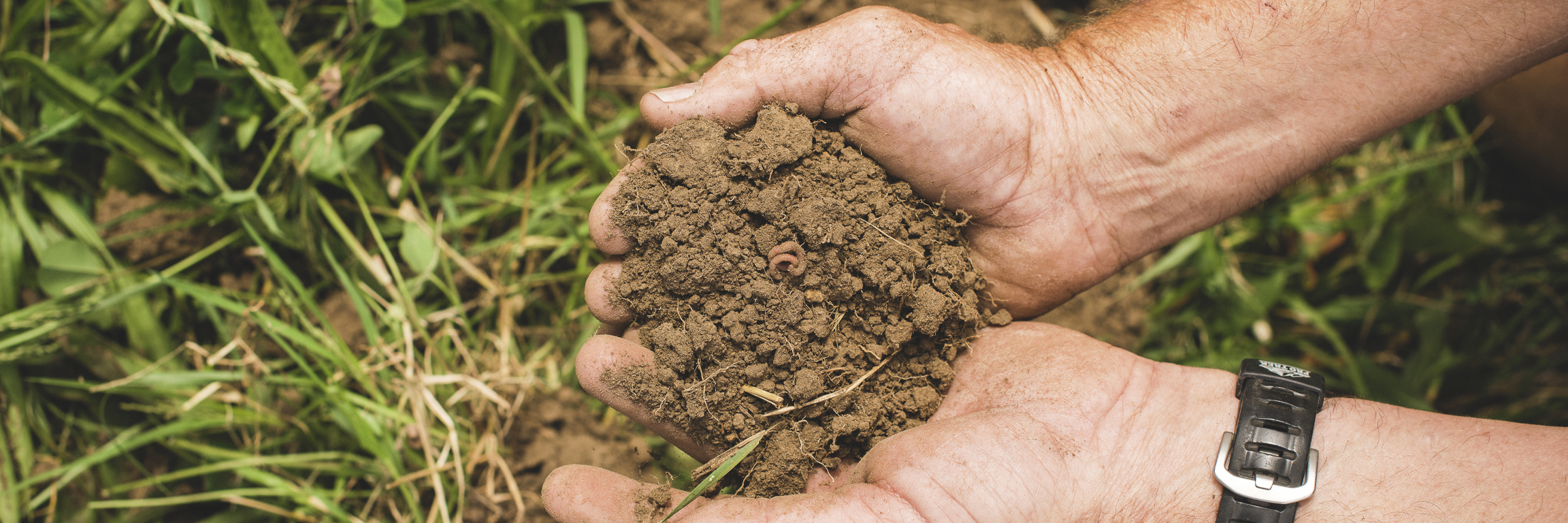 Image of someone holding handfuls of soil