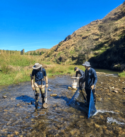 Image of summer student freshwater fish ecologist