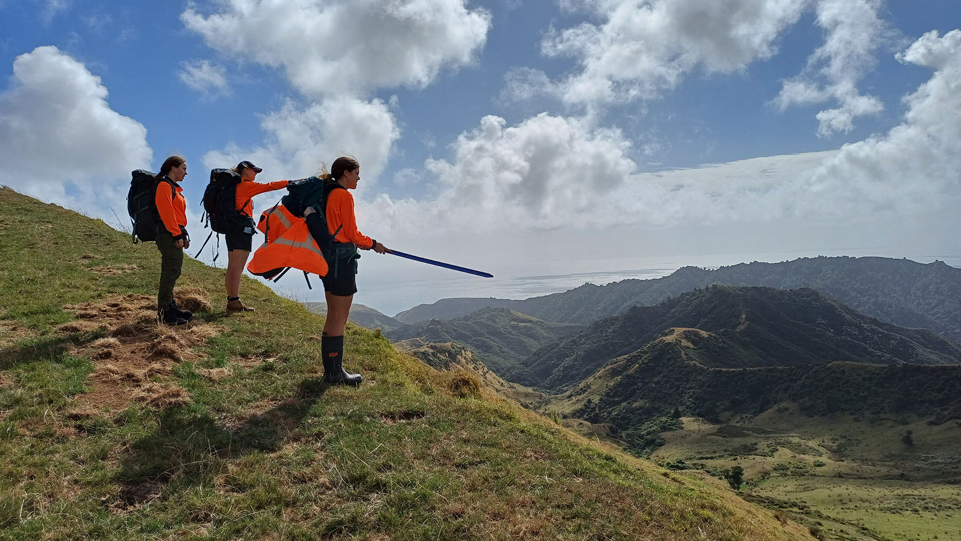 Image - Working at Waikato Regional Council