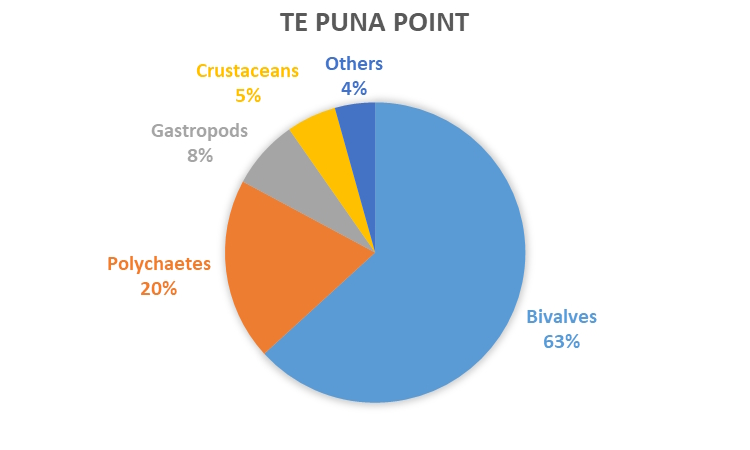 REMP monitoring results - data graph - Te Puna Point