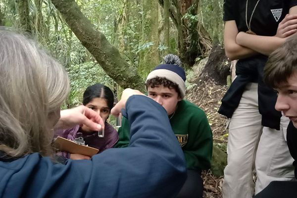 Students looking at water samples as part of the freshwater detectives stream study kit