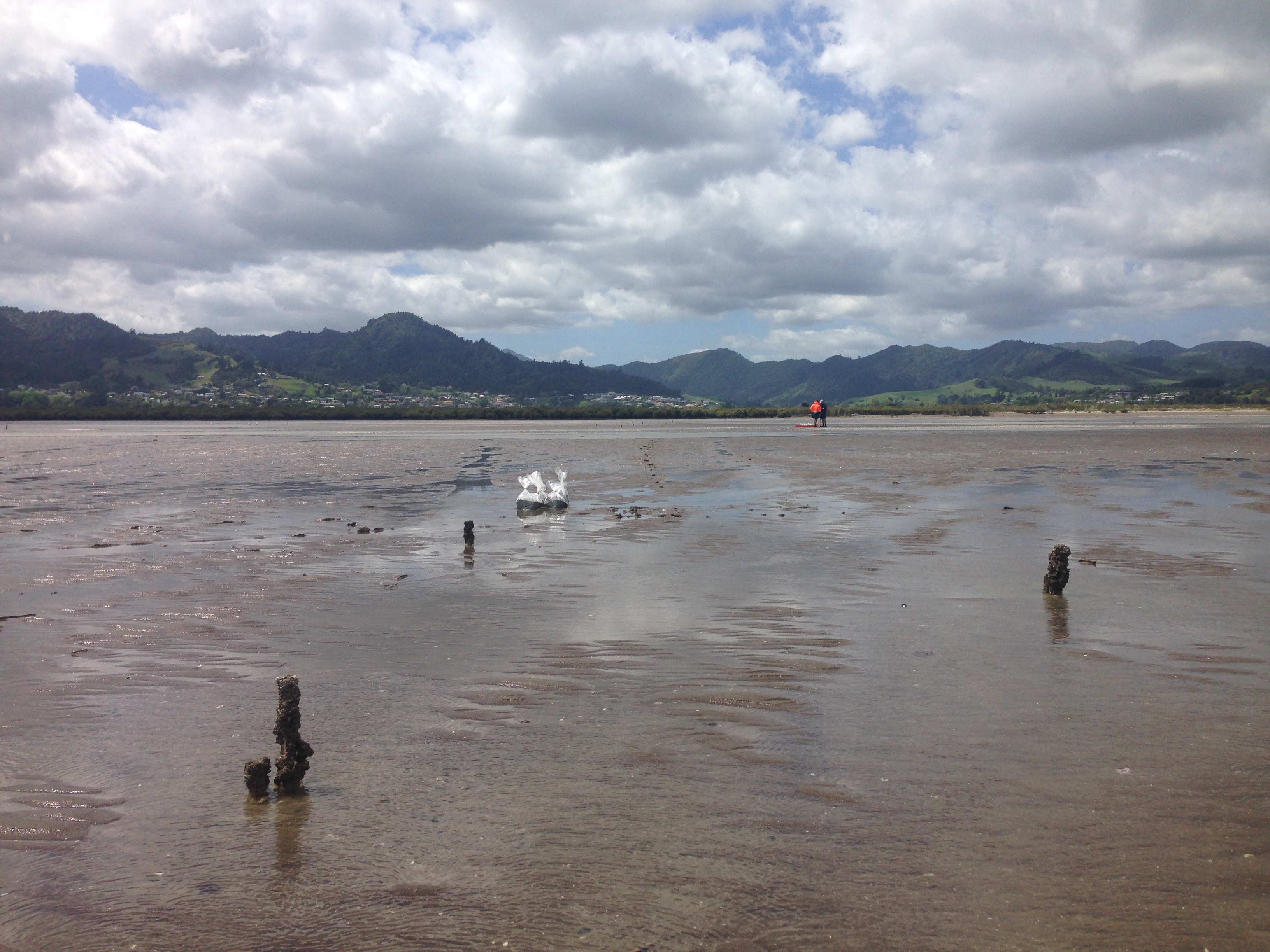 Image - Firth of Thames