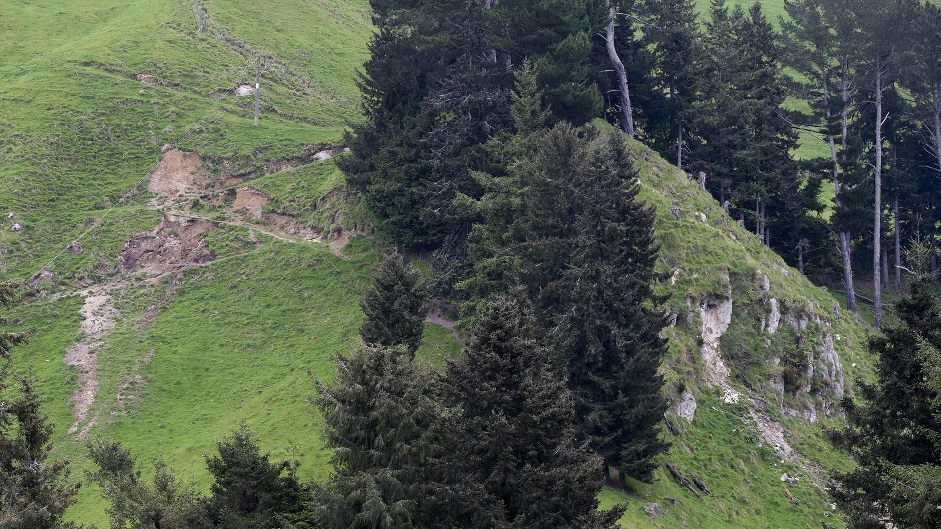 Soil erosion on a hill