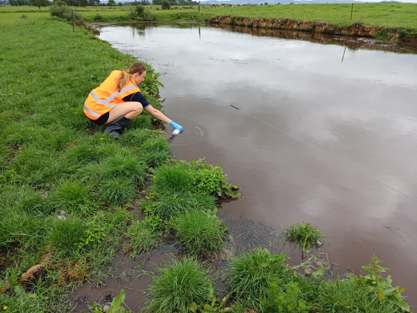 Waikato Regional Council officer sampling contamination at overflowing pond.