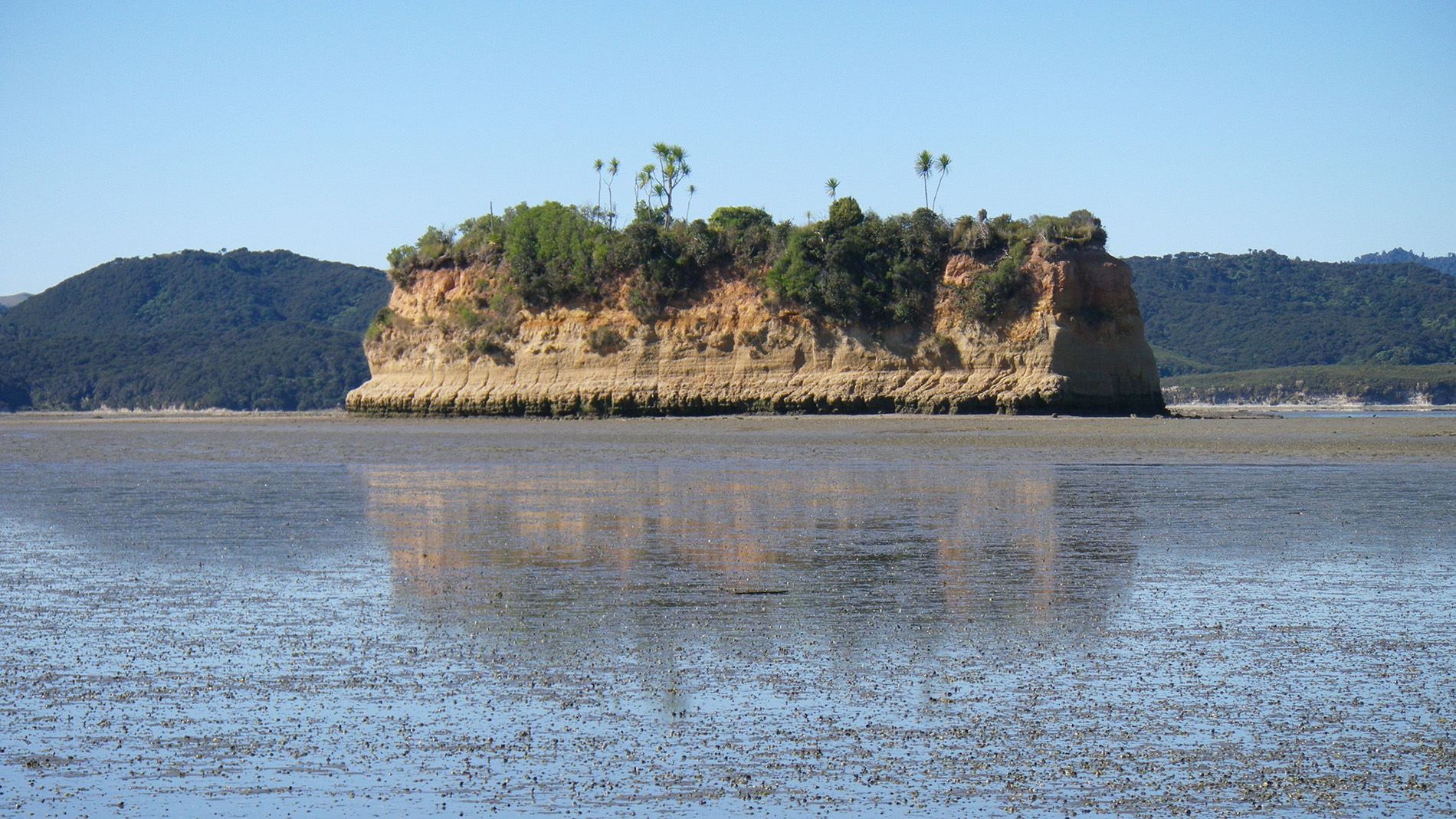 Image - Whāingaroa Harbour estuary