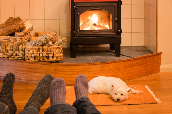 Socks sitting next to fire place with dog